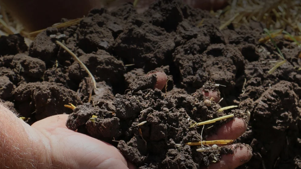 Why is the health of soil so important?